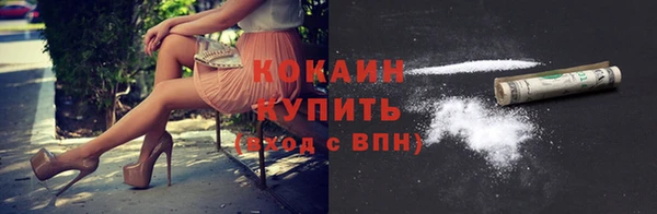 гашик Алексин