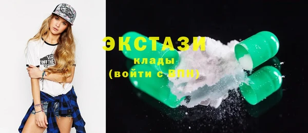 гашик Алексин