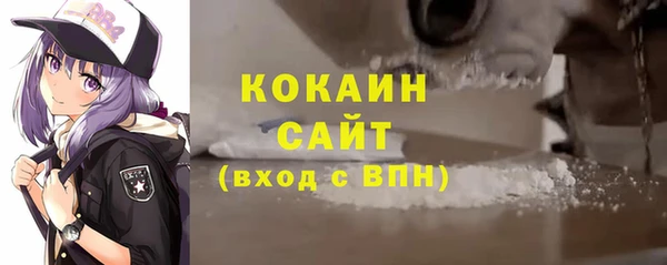 гашик Алексин