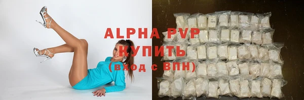 гашик Алексин