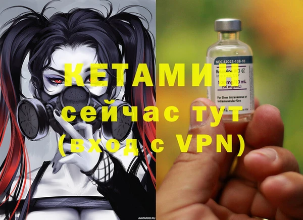гашик Алексин