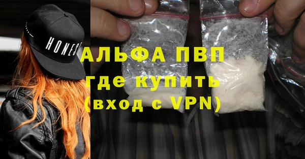 гашик Алексин