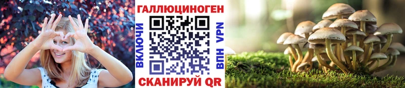 Псилоцибиновые грибы прущие грибы  Купить где  Северская 